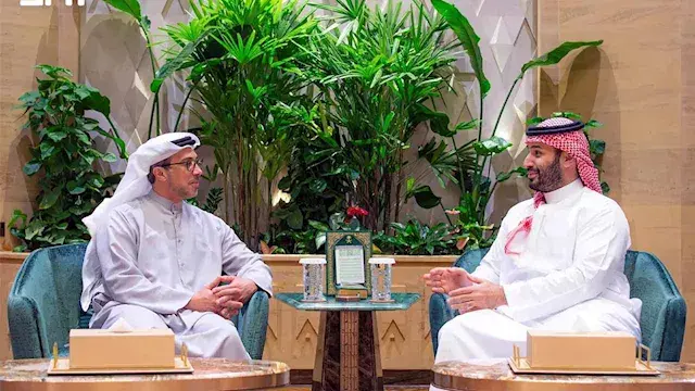 ولي العهد السعودي ونائب رئيس ا...