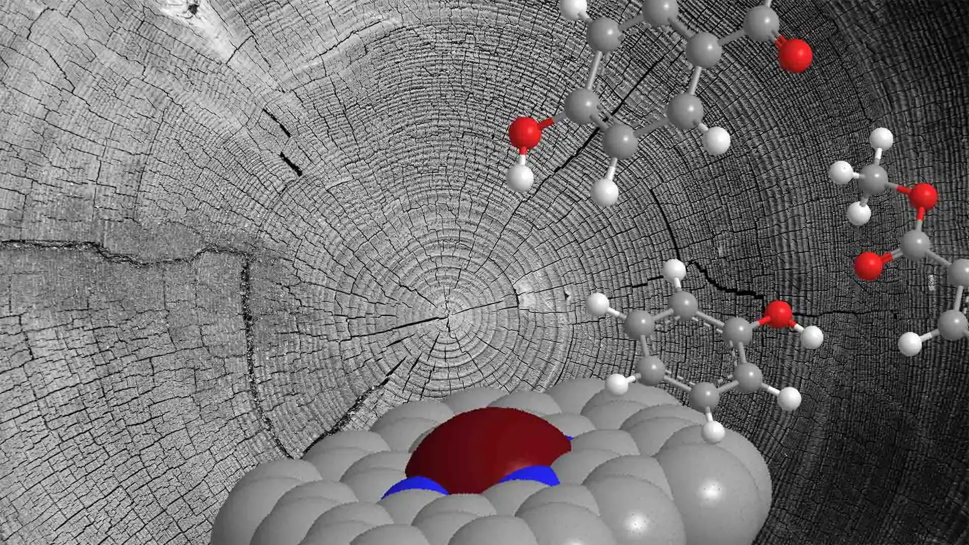 Atomic catalyst unlocks the hi...
