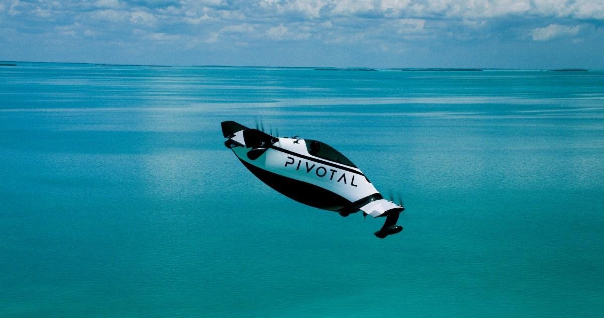 Larry Page’s flying car compan...