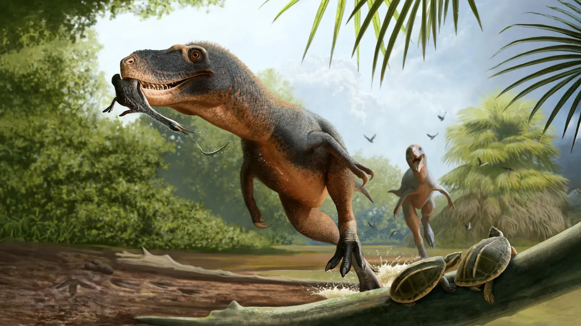 66-million-year-old feather in...