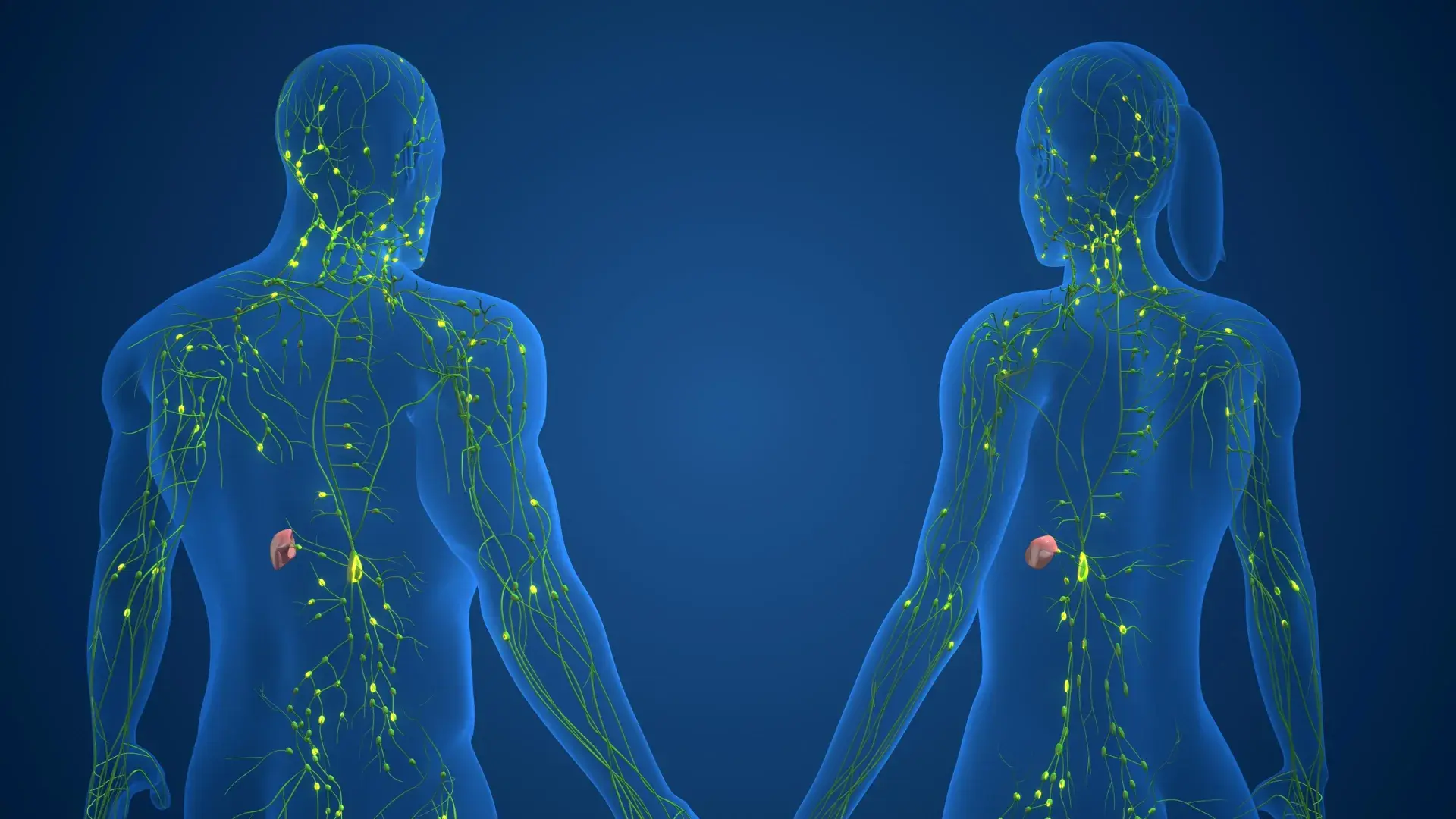 More than 1,000 genetic switch...