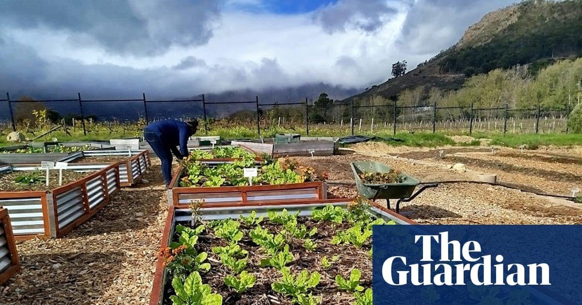 How a South African town clean...