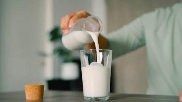 هل شرب الحليب يقوي العظام فعلا؟.. مش هتصدق
