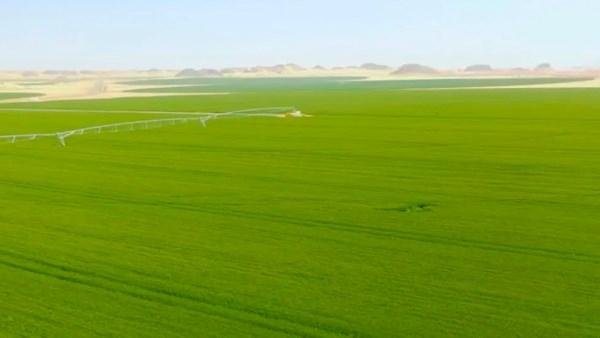 الحكومة البريطانية تعلن عن دعم...