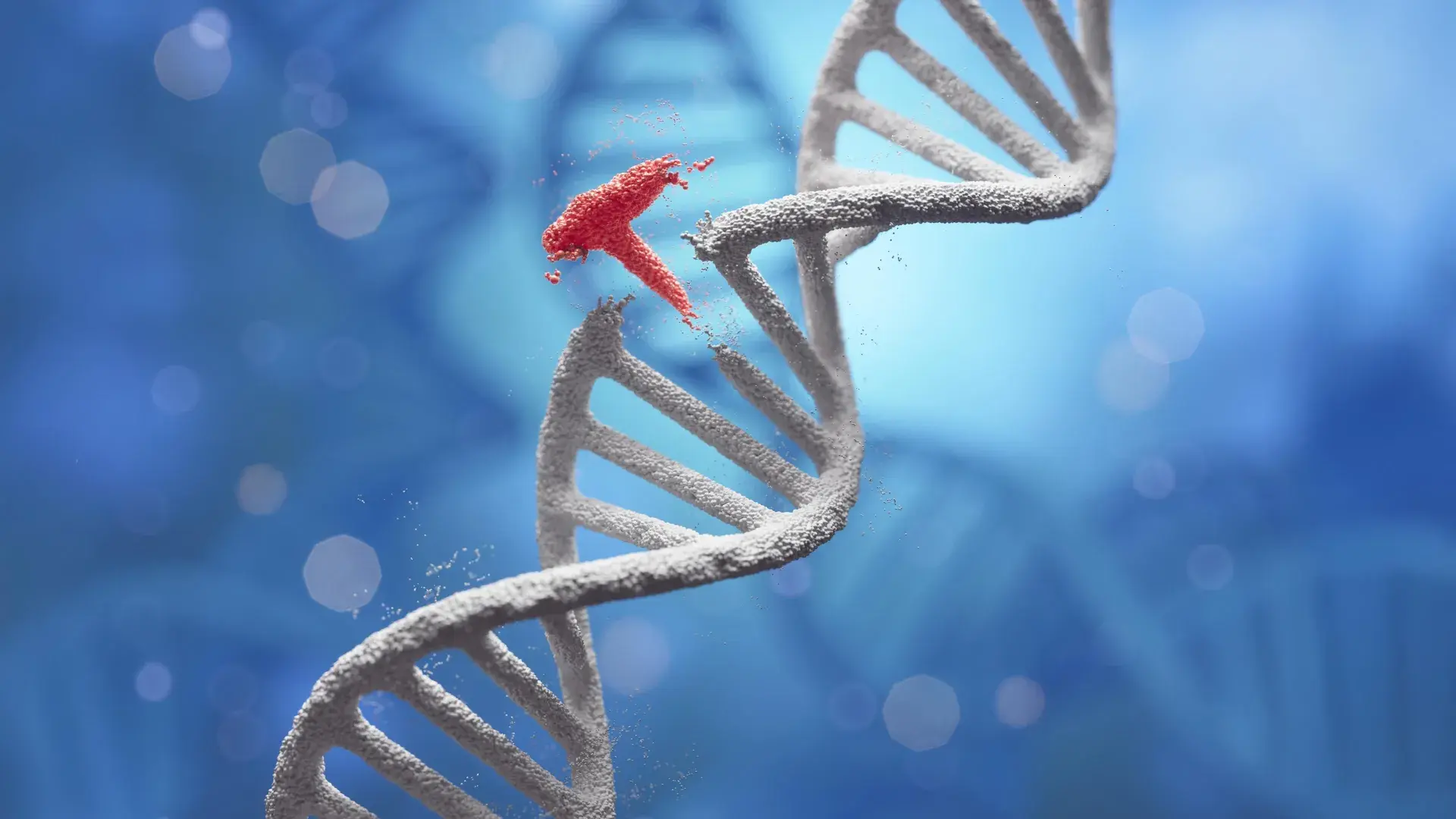Japanese scientists use tiny s...