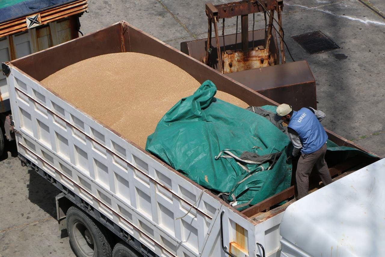 متحدث التموين: احتياطي القمح مؤمن لـ 6 أشهر.. وتسلمنا 5 ملايين طن محليا بعد شرائها بالأسعار العالمية