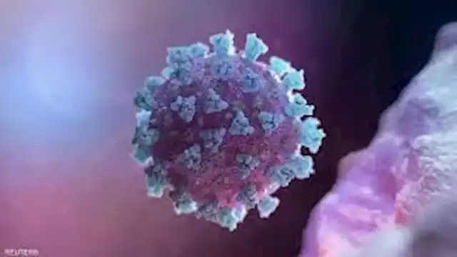 بعد ظهوره لأول مرة في ألمانيا.. ما أعراض فيروس سيندبيس؟