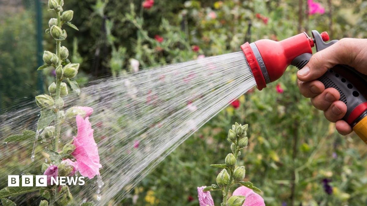 More hosepipe bans in force as...