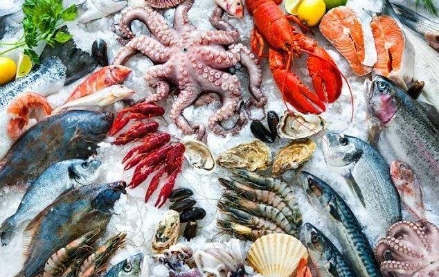الجمعة 9 أكتوبر 2026.. أسعار الأسماك بسوق العبور