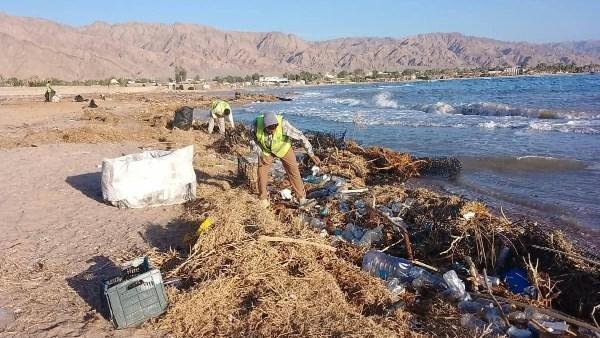 بعد السيول.. حملات مكثفة لإزالة الرواسب والمخلفات وحماية البيئة البحرية بنويبع