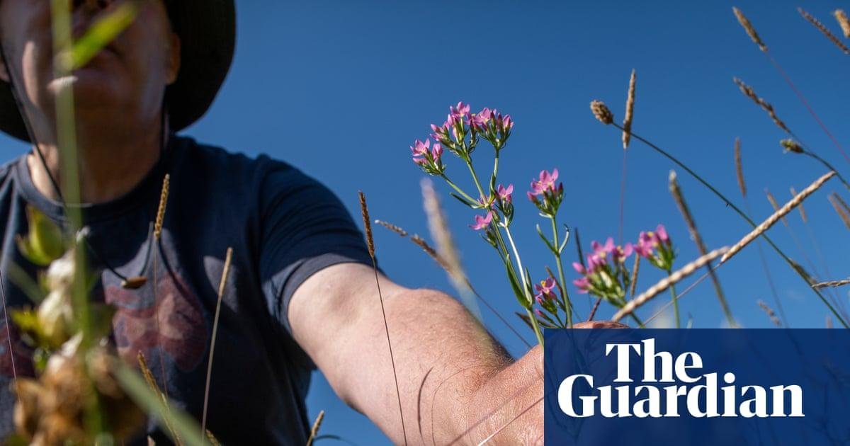 ‘I love it. It’s hope’: the my...