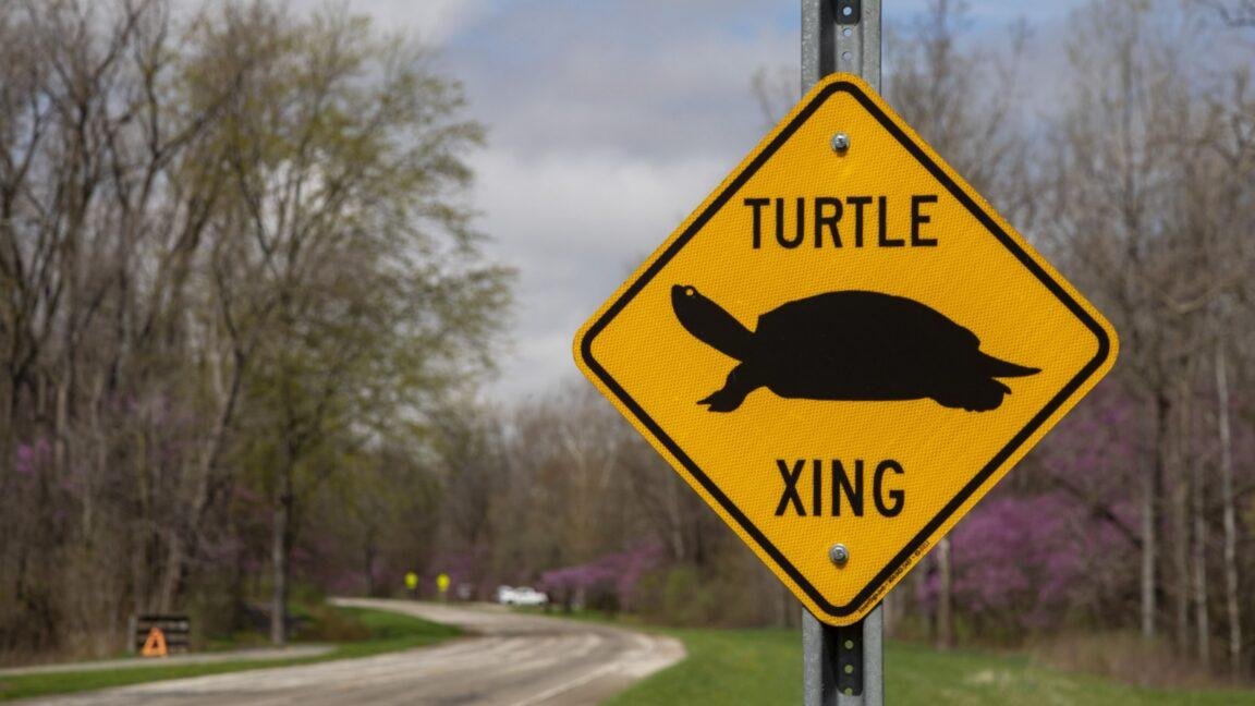 FCC abolishes gigabit speed go...