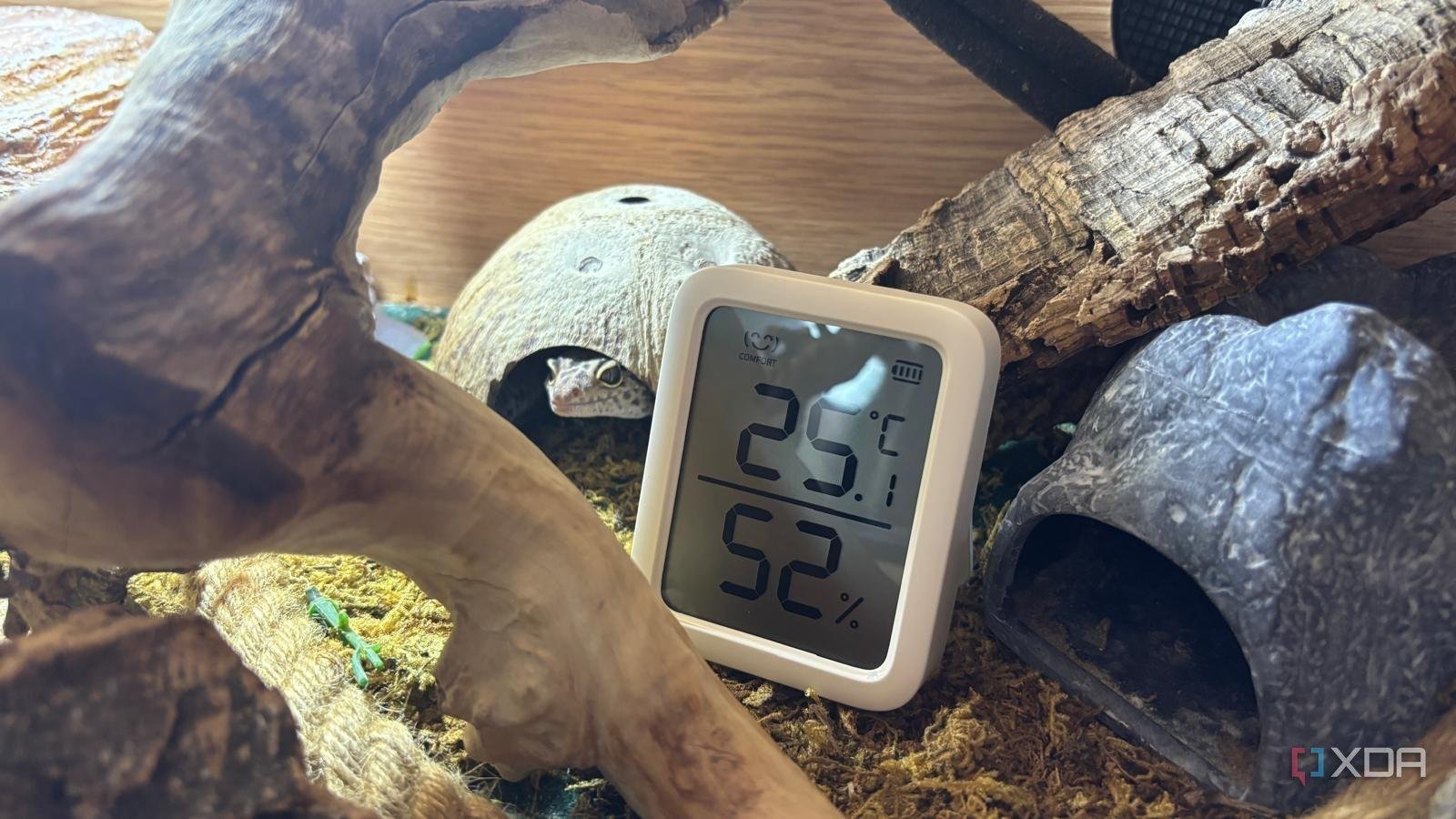 Smart pet gadgets are overpric...
