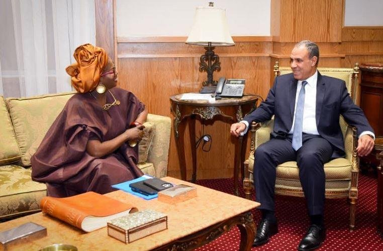 وزير الخارجية: مصر حريصة على دعم تطوير البنية التحتية الأفريقية وتعزيز الترابط الإقليمي