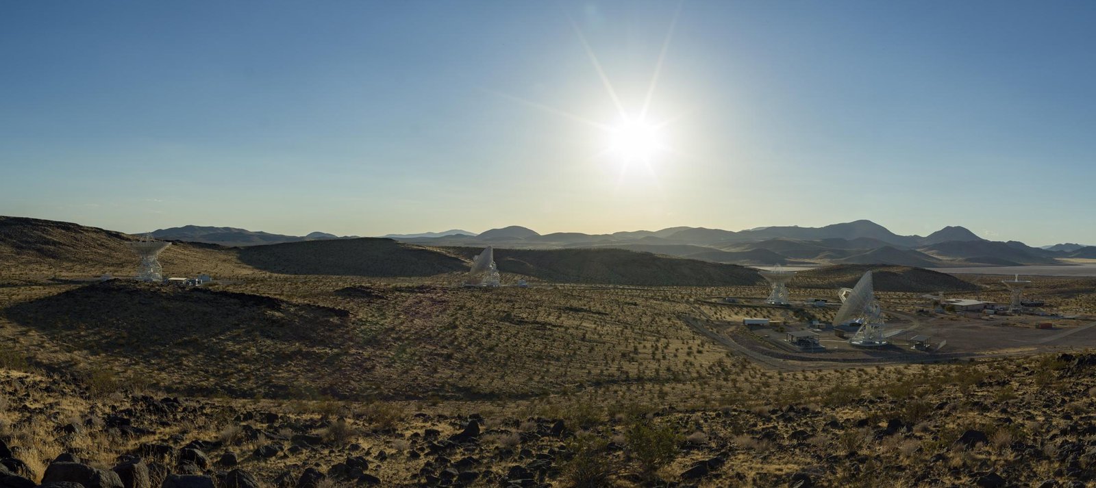 New Next-Gen Dish Adds Muscle...