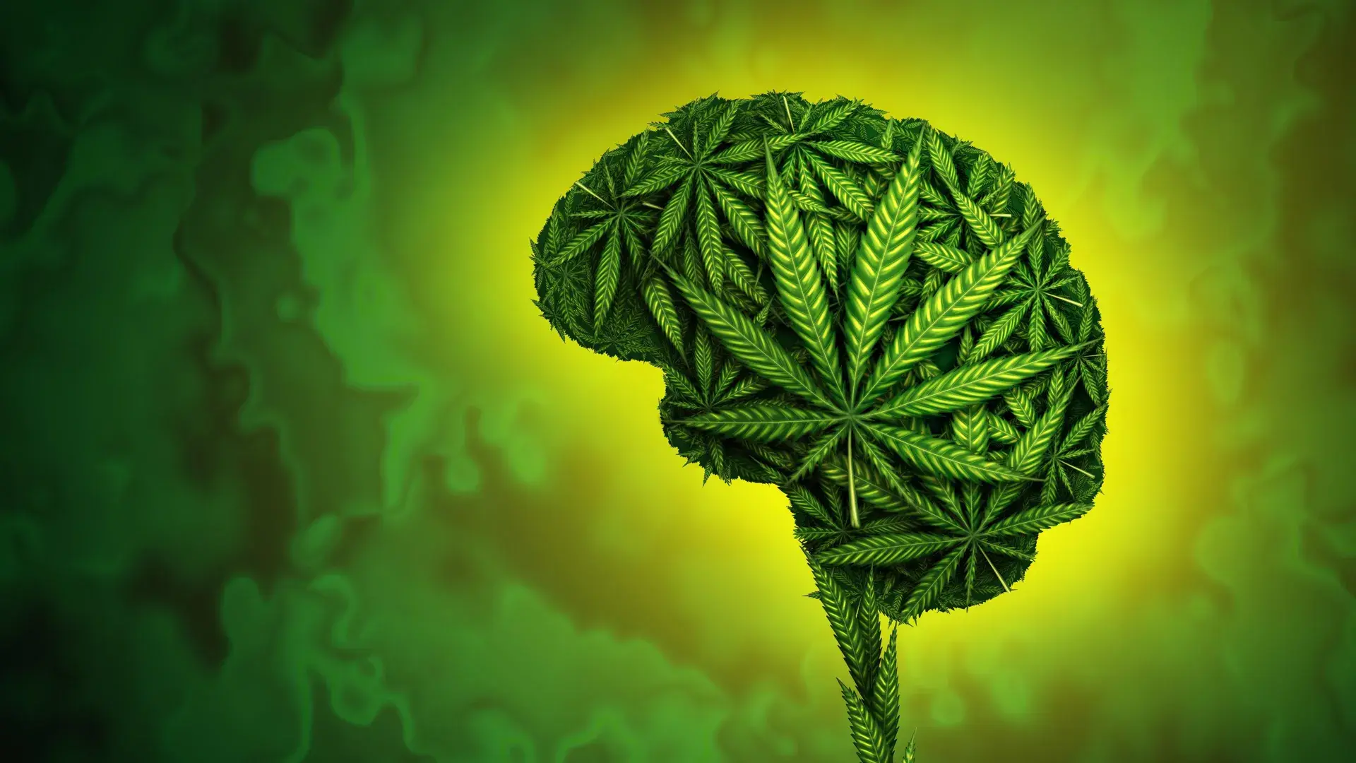 Cannabis use linked to 37% hig...