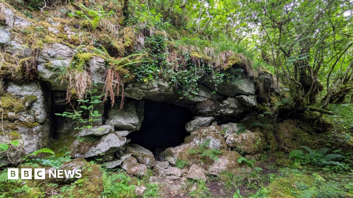 Ancient cave art discovery sug...