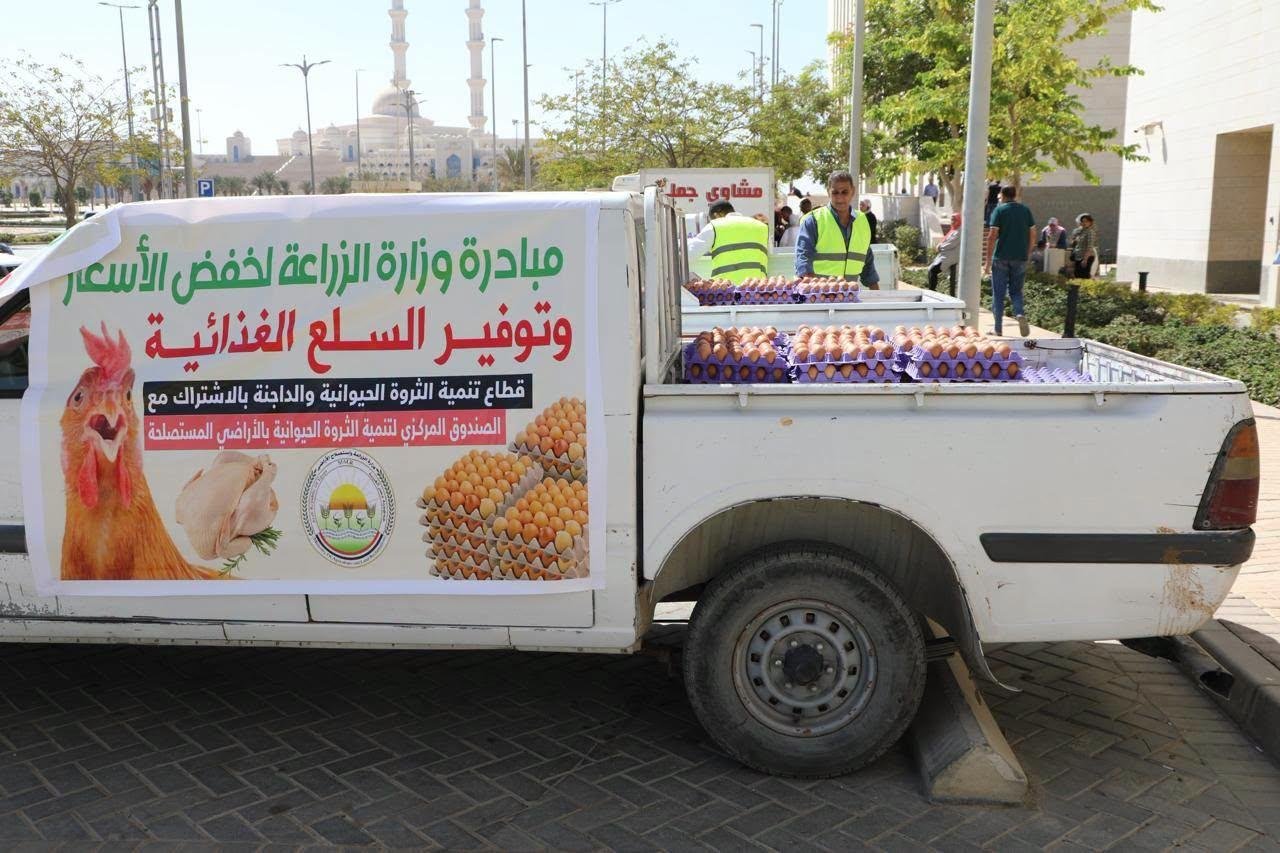 الزراعة تطرح بيض المائدة بتخفي...