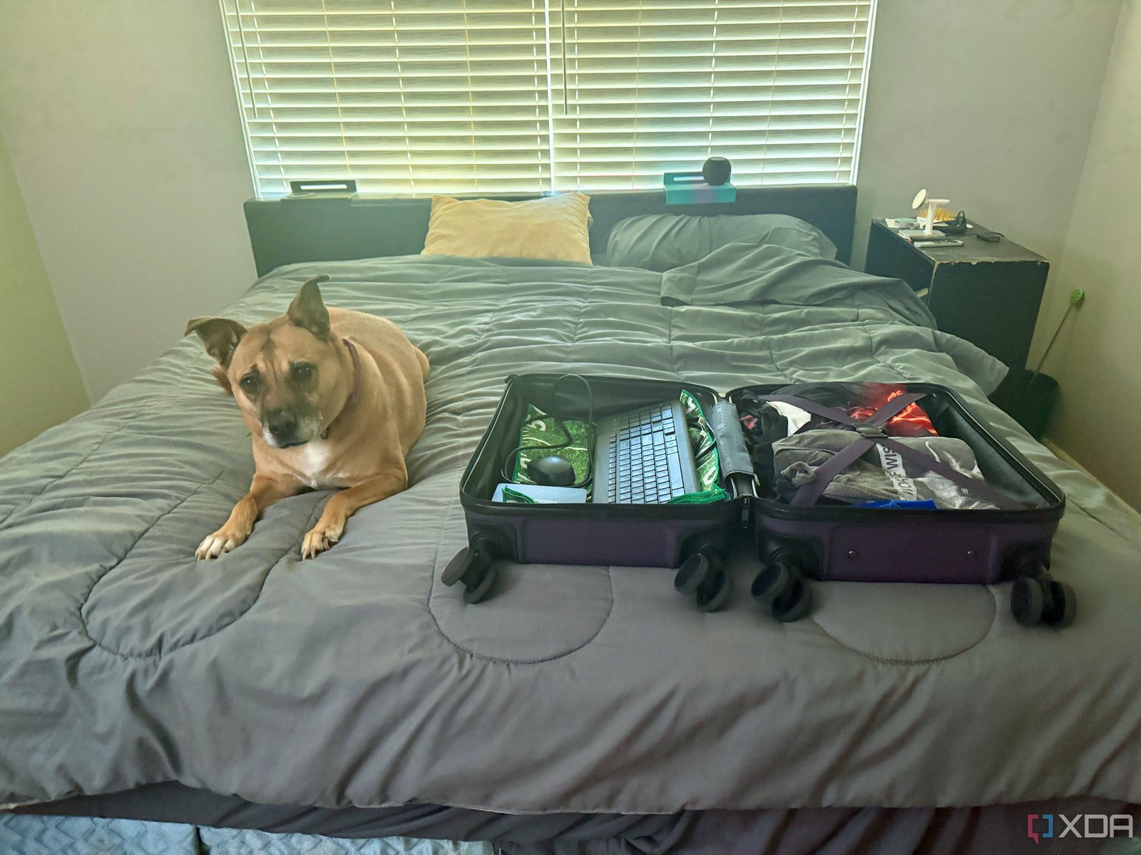 I put a mini PC in my carry-on...