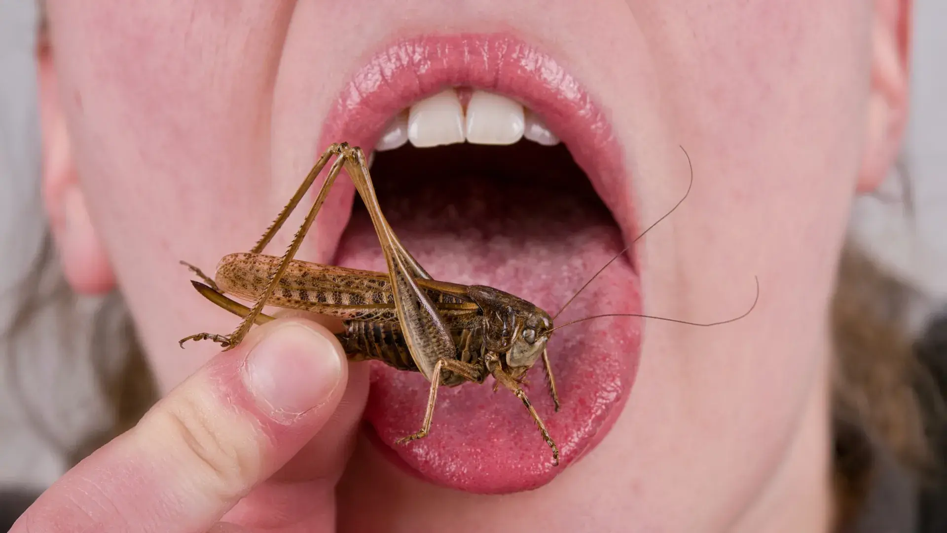 Your dislike of eating bugs ma...