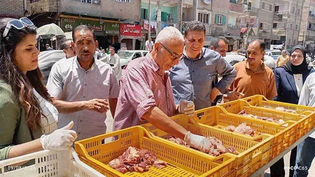 تحرير 228 مخالفة تموينية وضبط...
