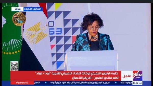 الرئيس التنفيذي لـ «أودا-نيباد»: تدشين منصة جديدة للحوار الأفريقي