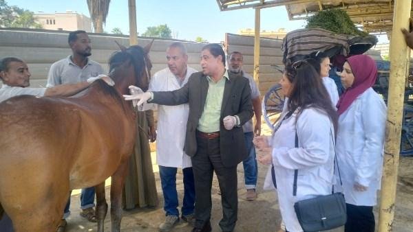 بالتعاون مع جمعية بروك.. حملة...