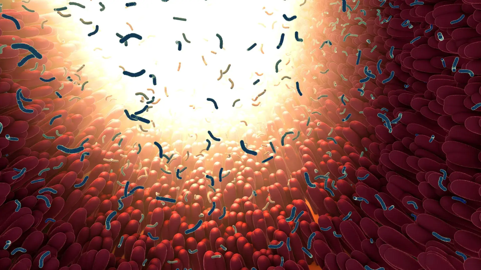 Your gut microbiome may be mor...
