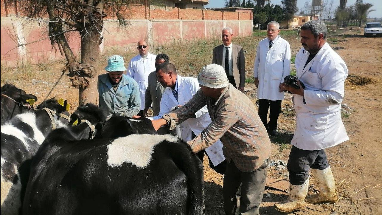 تفاصيل جديدة بشأن سنة الامتياز...