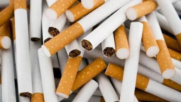 شعبة الدخان: زيادة أسعار سجائر تارجت وتايم جنيهًا واحدًا للعلبة