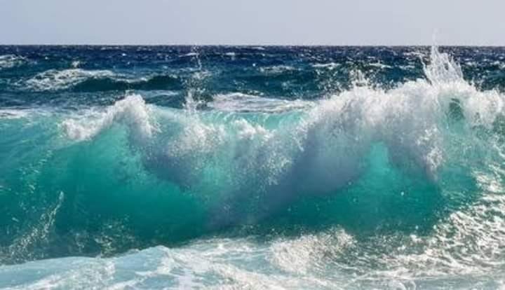 رئيس مركز معلومات تغير المناخ:...