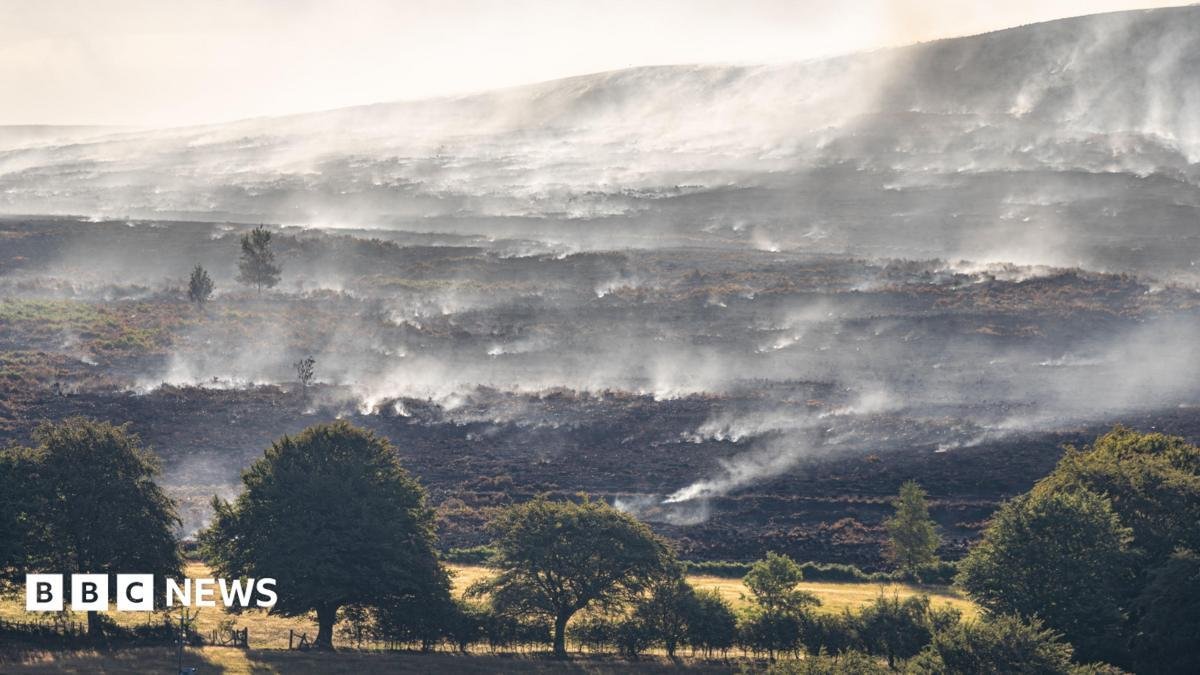 Welsh county becomes global ho...