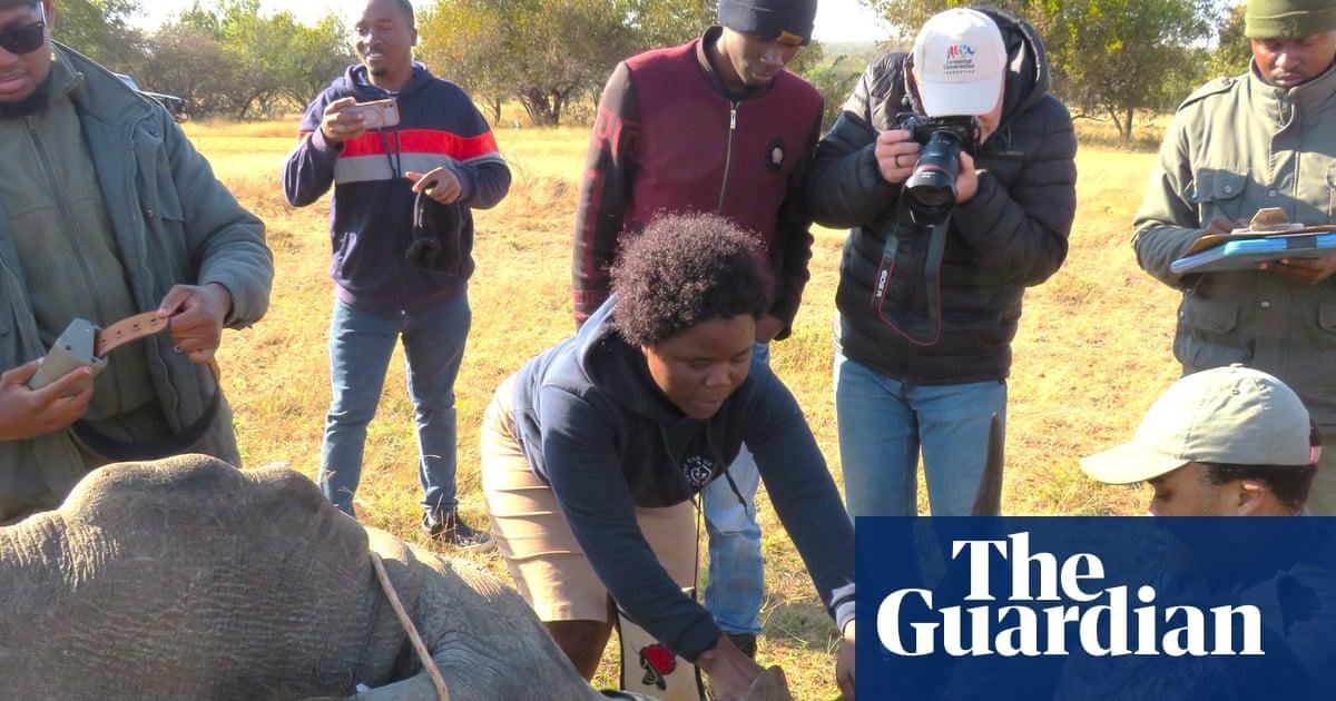 Bring on the drones: how a tec...