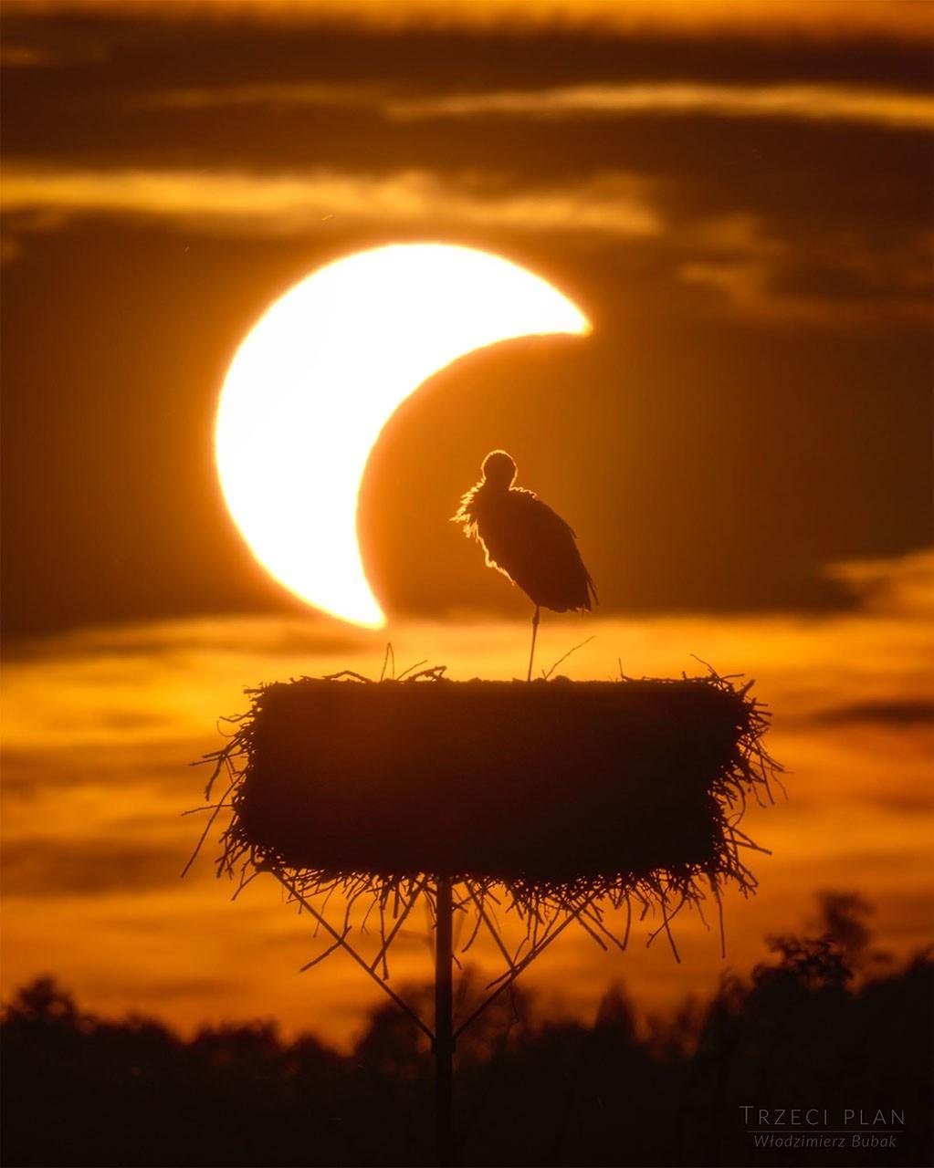 APOD: 2026 September 3 – The E...