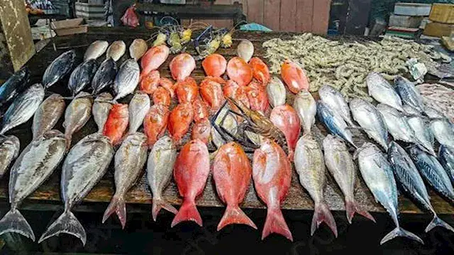 أسعار الأسماك والمأكولات البحر...