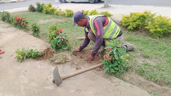جهاز التطوير والتجميل يكثف أعمال رفع كفاءة المداخل والمحاور الرئيسية بالإسماعيلية