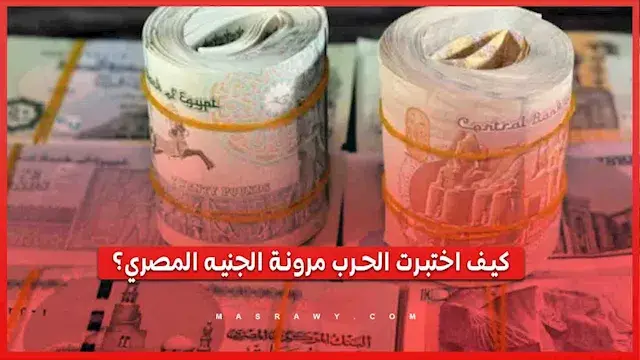 "الحرب اختبرت مرونة سعر الصرف".. فيتش تكشف موقف المركزي من تراجع الجنيه