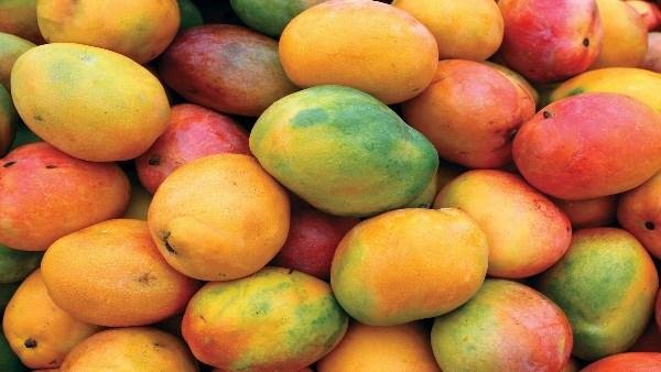وصلت إلى 170 جنيهًا.. ارتفاع ج...