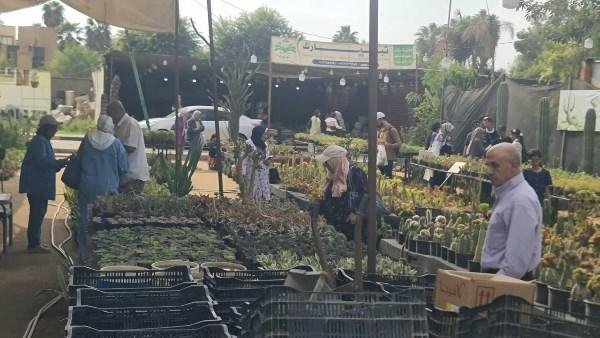 "الزراعة": إقبال كبير من المواطنين لزيارة المتحف الزراعي ومعرض "زهور مصر" في إجازة احتفالات أكتوبر