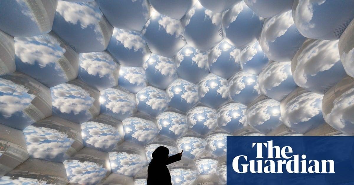 A bee’s-eye view: art installa...