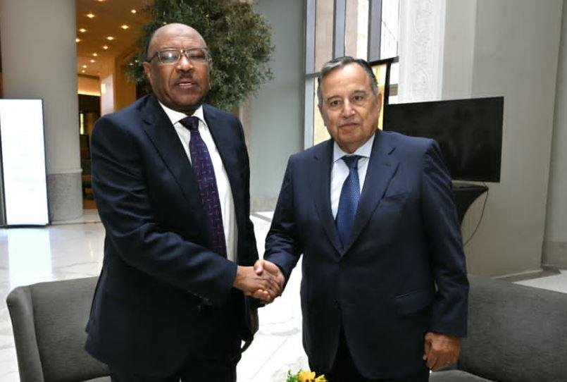 نبيل فهمي يلتقي لجنة تهيئة الحوار السودانية ويبحث سبل إطلاق حوار وطني جامع