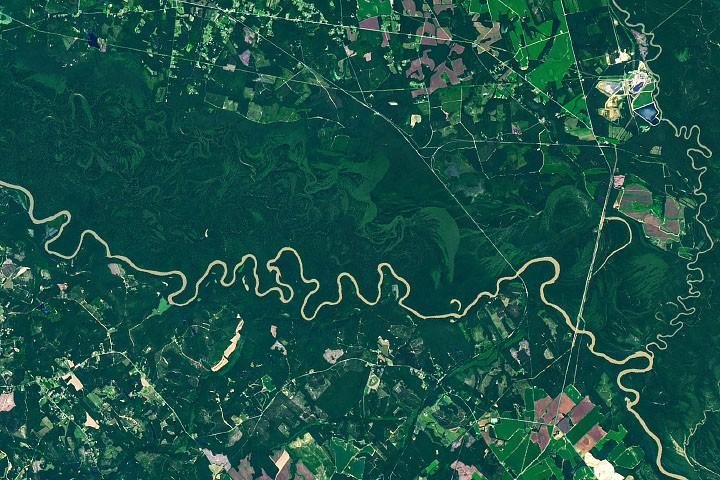 The Forested Floodplains of Co...