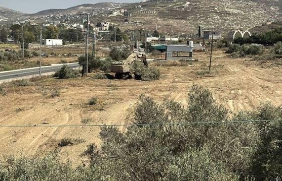 الضفة.. 21 اعتداء إسرائيليا على مزارعي الزيتون خلال 12 ساعة