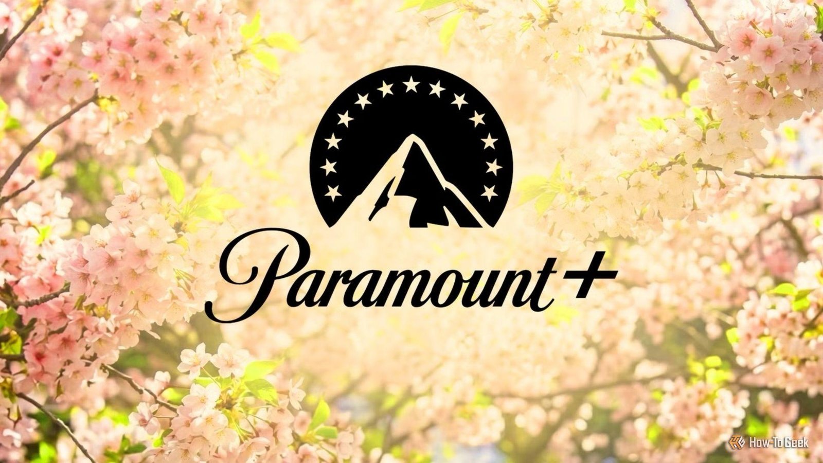 4 excellent Paramount+ shows t...