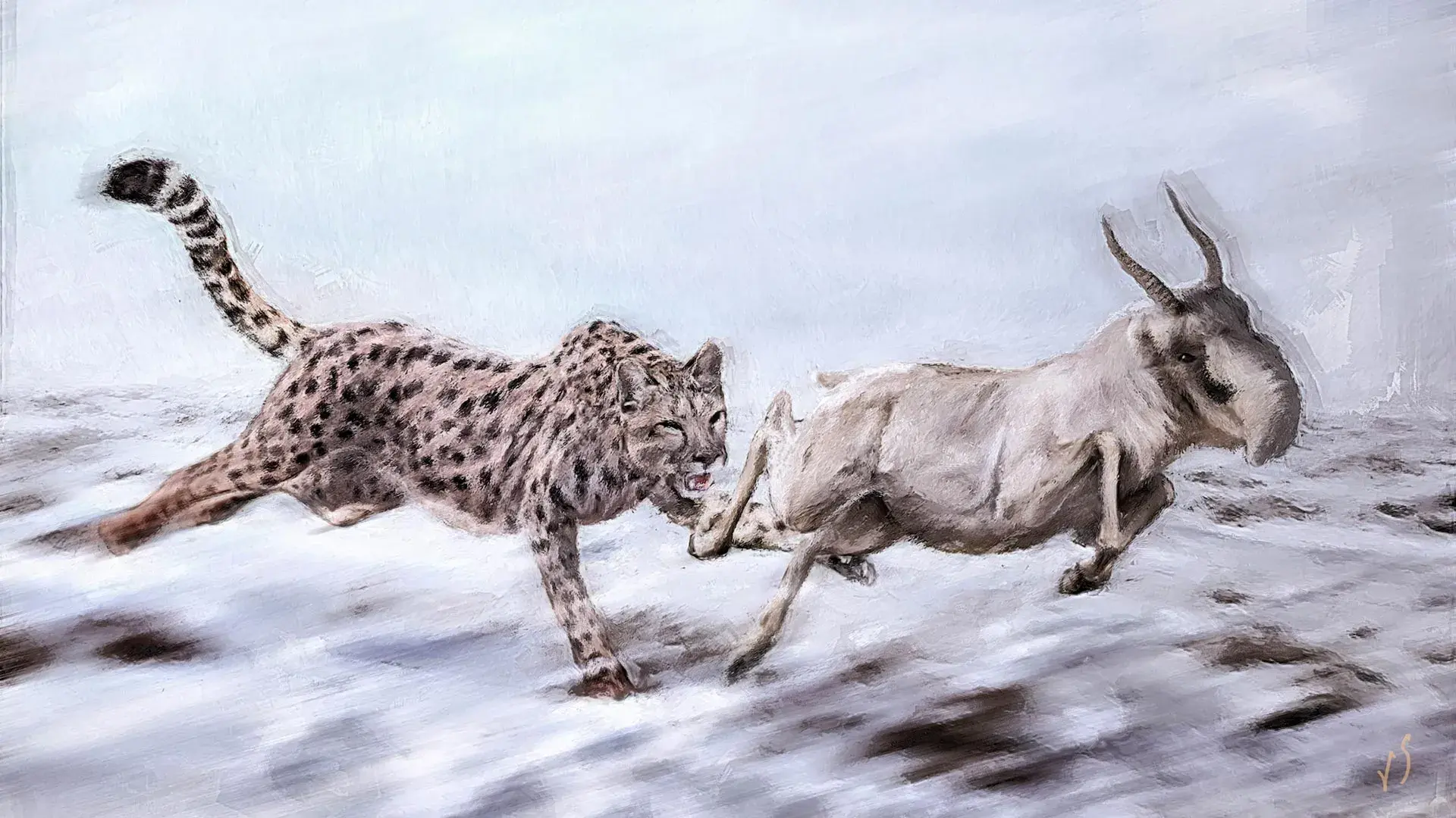 The American “cheetah” wasn’t...