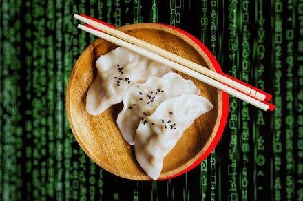In China, AI has reached dumpl...