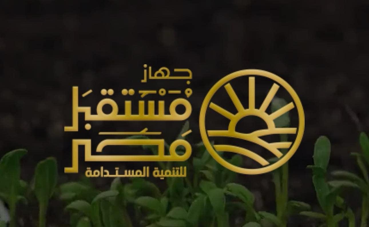 جهاز مستقبل مصر: ننفذ 19 ألف كيلومتر من شبكات الكهرباء بالدلتا الجديدة لدعم مشروعات التنمية