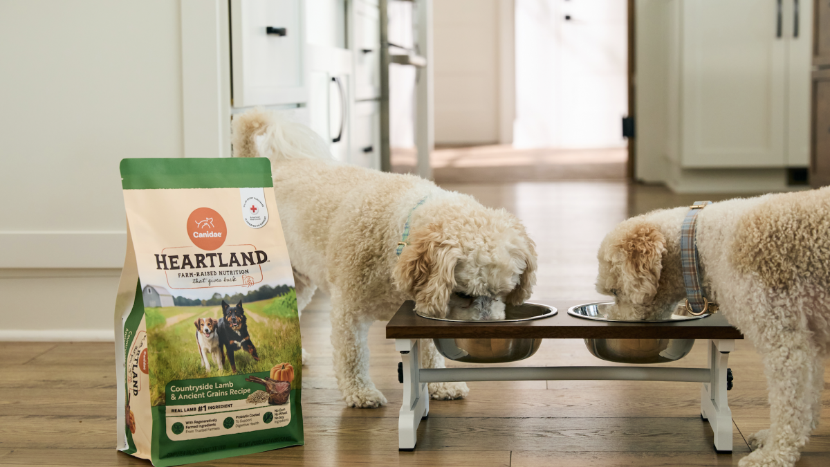 Canidae Heartland x Walker Hay...