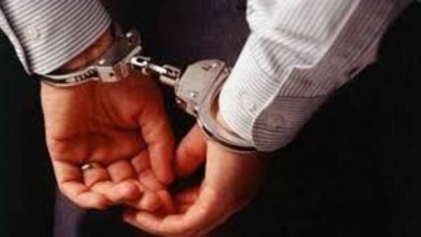 الشاهد الصامت كشف الواقعة.. التحقيق مع المتهمة بسرقة هاتف محمول بالغربية