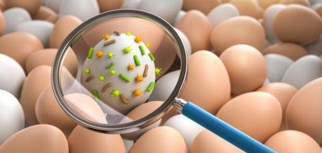 بعد إصابة 340 شخصاً ببريطانيا...